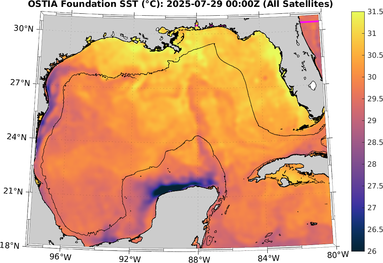 SST_20250729T0000Z.png
