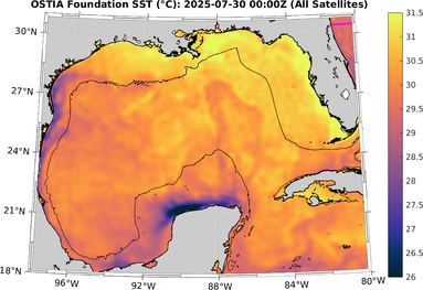 SST_20250730T0000Z.png