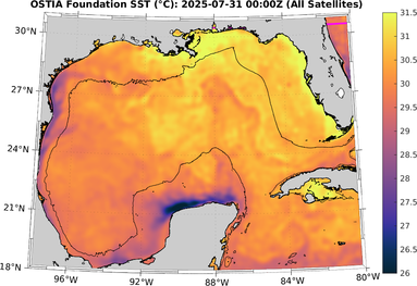 SST_20250731T0000Z.png