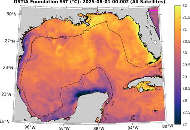 SST_20250801T0000Z.png