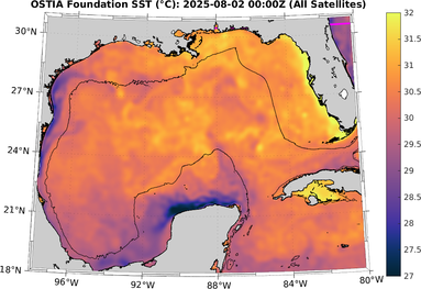 SST_20250802T0000Z.png