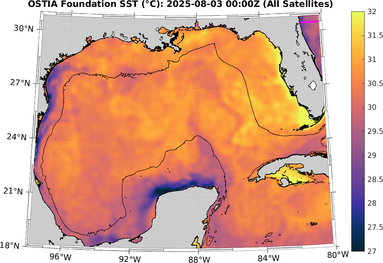 SST_20250803T0000Z.png