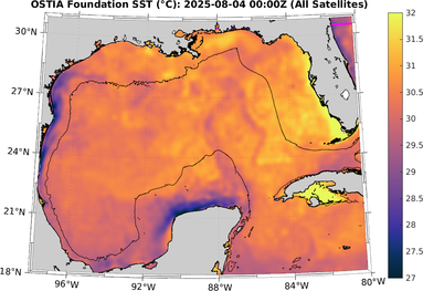 SST_20250804T0000Z.png