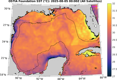 SST_20250805T0000Z.png