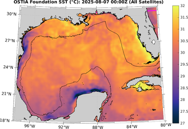 SST_20250807T0000Z.png