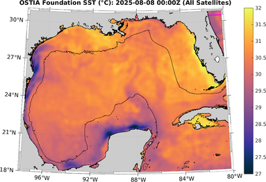 SST_20250808T0000Z.png