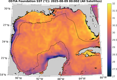 SST_20250809T0000Z.png