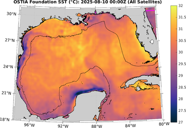 SST_20250810T0000Z.png