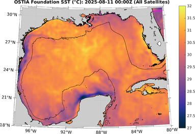 SST_20250811T0000Z.png