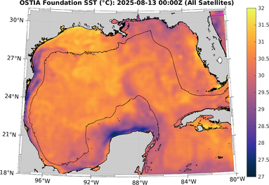 SST_20250813T0000Z.png