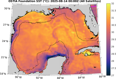 SST_20250814T0000Z.png