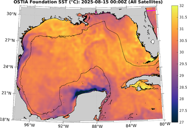 SST_20250815T0000Z.png