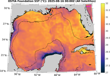 SST_20250816T0000Z.png