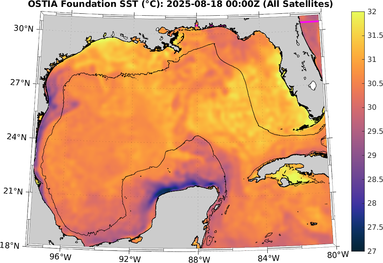 SST_20250818T0000Z.png