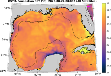 SST_20250824T0000Z.png