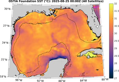 SST_20250825T0000Z.png