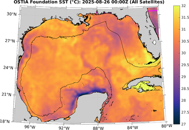 SST_20250826T0000Z.png