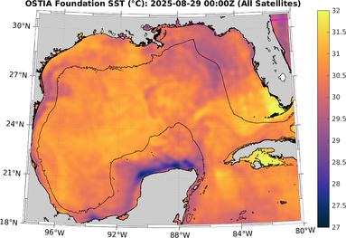 SST_20250829T0000Z.png