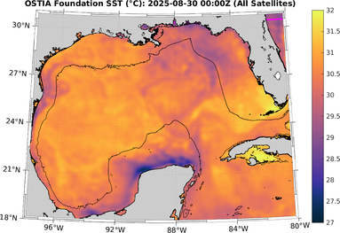 SST_20250830T0000Z.png