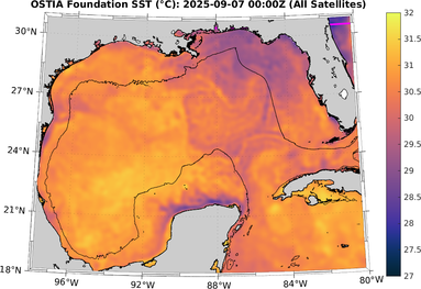 SST_20250907T0000Z.png