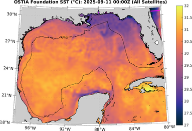 SST_20250911T0000Z.png