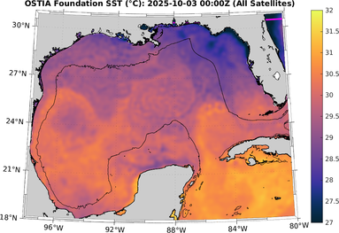 SST_20251003T0000Z.png