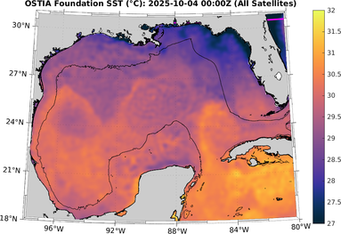 SST_20251004T0000Z.png