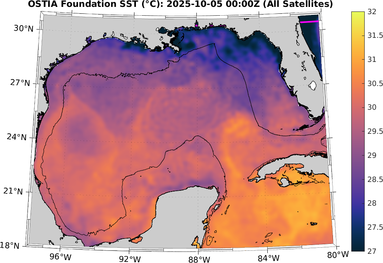 SST_20251005T0000Z.png