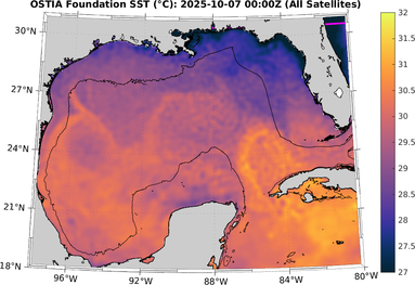 SST_20251007T0000Z.png