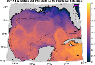SST_20251008T0000Z.png