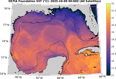 SST_20251009T0000Z.png
