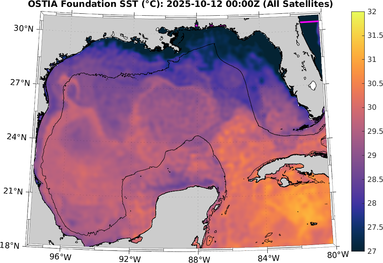 SST_20251012T0000Z.png