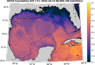 SST_20251013T0000Z.png
