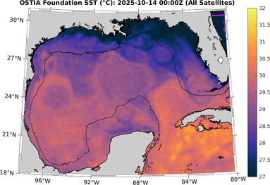 SST_20251014T0000Z.png
