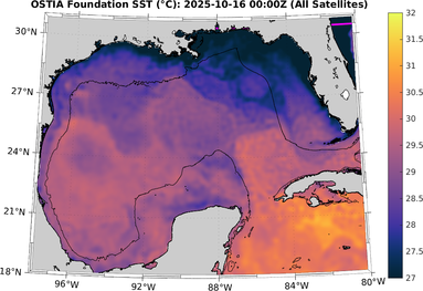 SST_20251016T0000Z.png