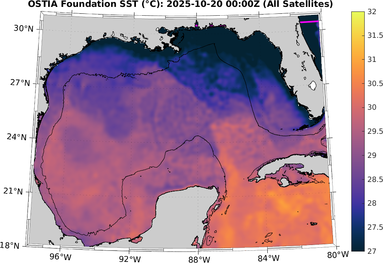SST_20251020T0000Z.png
