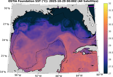 SST_20251029T0000Z.png