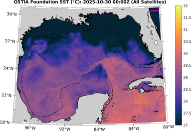 SST_20251030T0000Z.png