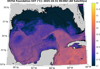SST_20251031T0000Z.png
