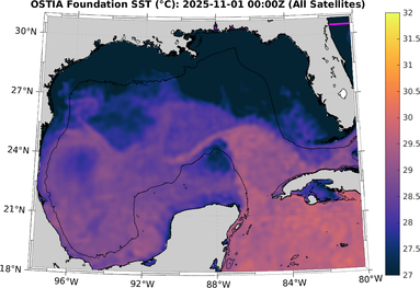 SST_20251101T0000Z.png