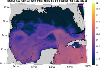 SST_20251102T0000Z.png