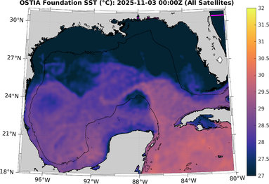 SST_20251103T0000Z.png