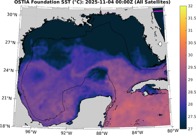 SST_20251104T0000Z.png