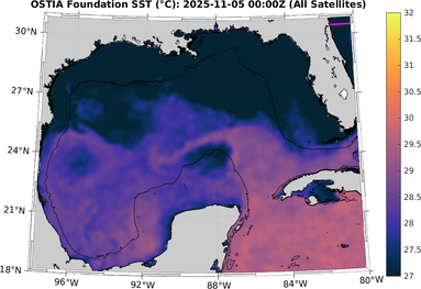 SST_20251105T0000Z.png