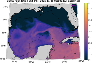 SST_20251109T0000Z.png