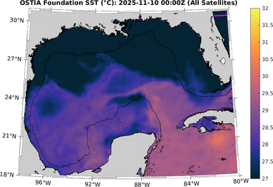 SST_20251110T0000Z.png