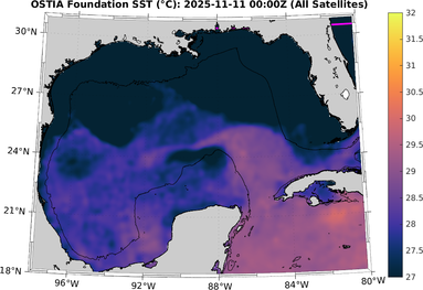 SST_20251111T0000Z.png