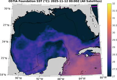 SST_20251112T0000Z.png