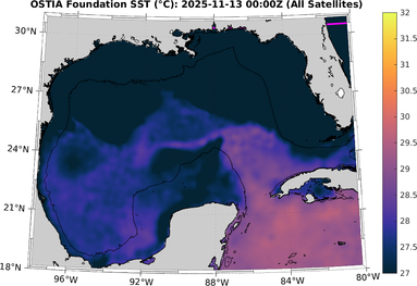 SST_20251113T0000Z.png