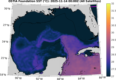 SST_20251114T0000Z.png